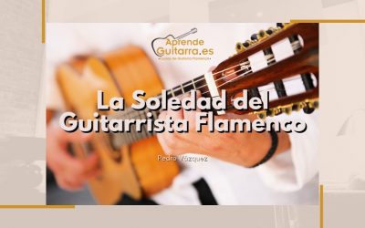 Guitarrista Flamenco. La Soledad.
