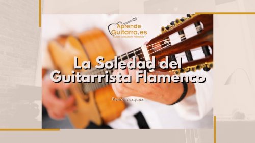 Guitarrista Flamenco. La Soledad.