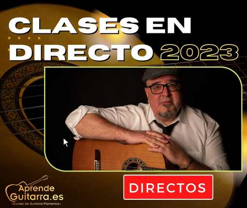 Clases guitarra flamenca en persona